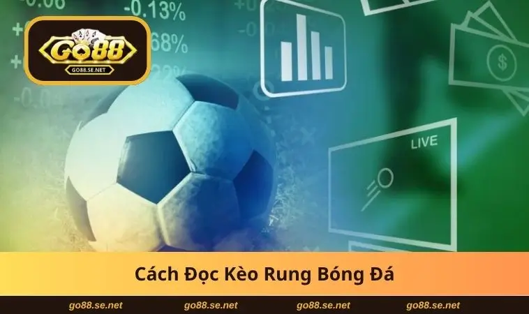Cách Đọc Kèo Rung Bóng Đá